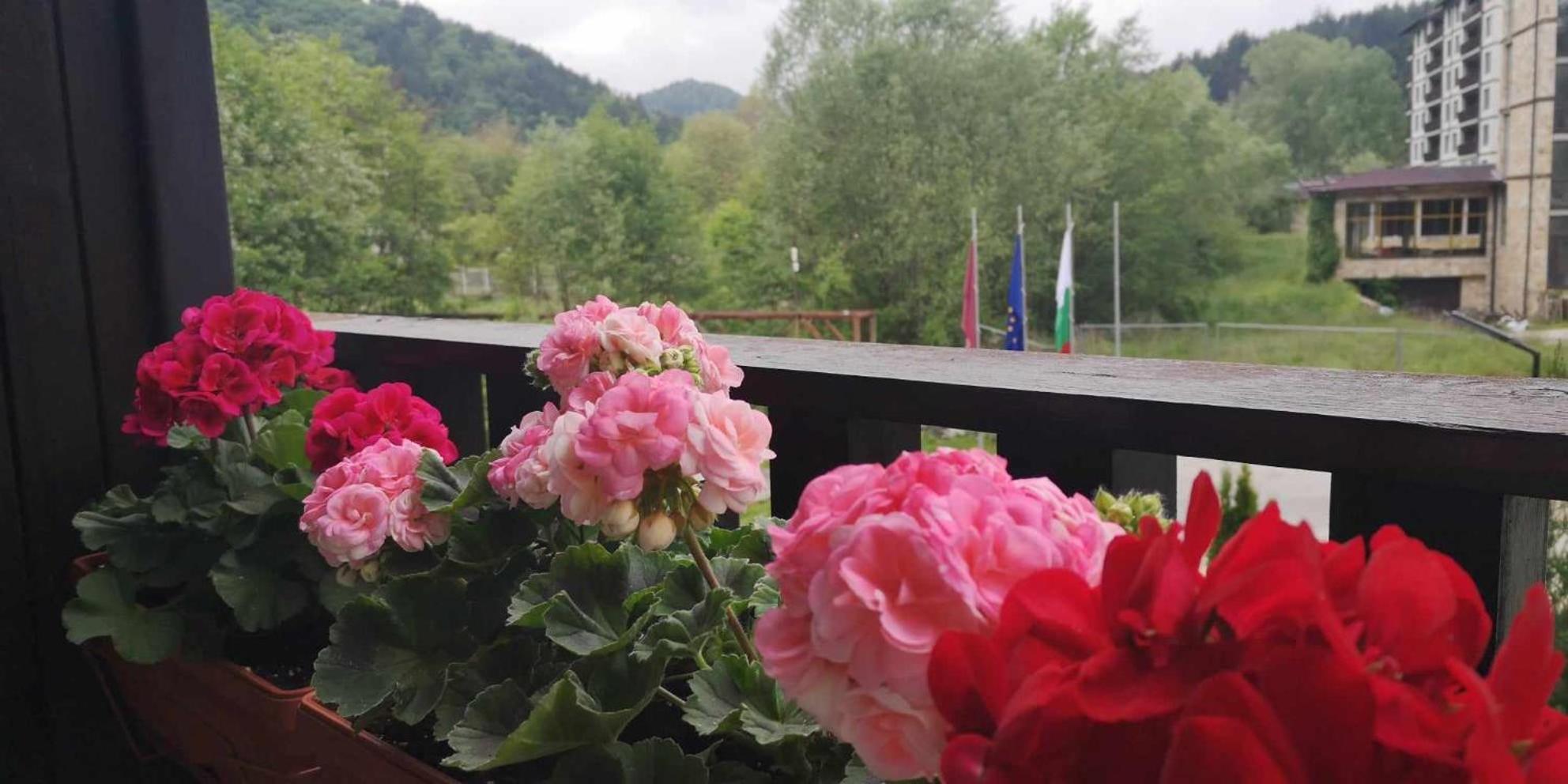 Апартамент И Студия "Спа Вълшебство" Velingrad Extérieur photo